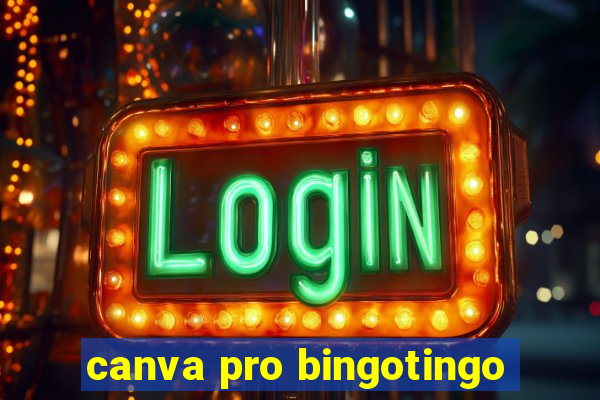 canva pro bingotingo